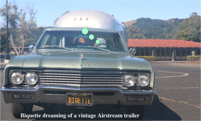 Biquette dreaming of an Airstream trailer